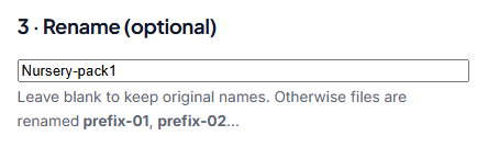Step 3: Name your files (optional)
